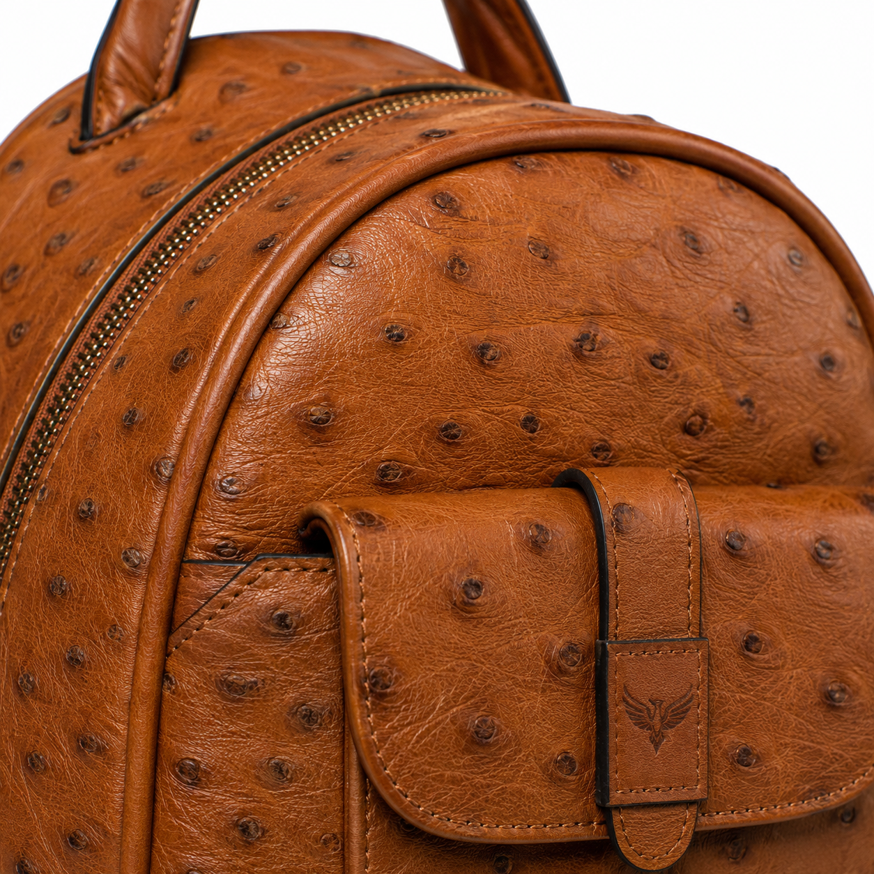 Back view of backpack with padded straps