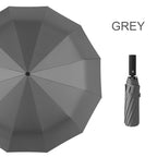 12-Rib Folding Umbrella with Auto Open/Close and Windproof Canopy