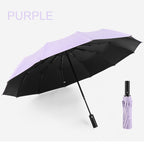 12-Rib Folding Umbrella with Auto Open/Close and Windproof Canopy