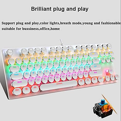 87-Key Mechanical Gaming Keyboard with RGB Backlight and Blue Switches