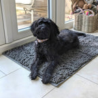 Absorbent Non-Slip Dog Door Mat for Muddy Paws