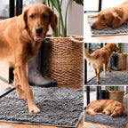 Absorbent Non-Slip Dog Door Mat for Muddy Paws