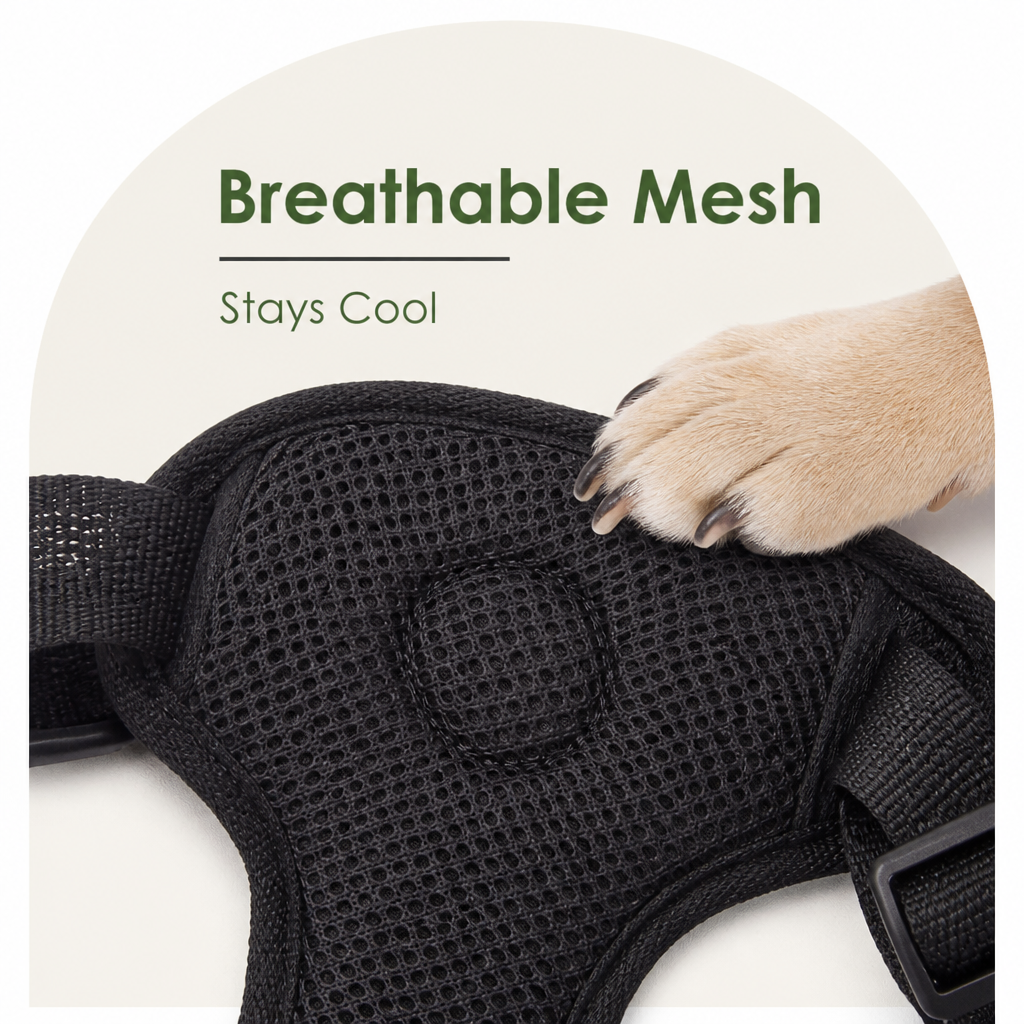 Adjustable Breathable Mesh Dog Car Safety Harness