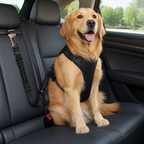 Adjustable Breathable Mesh Dog Car Safety Harness