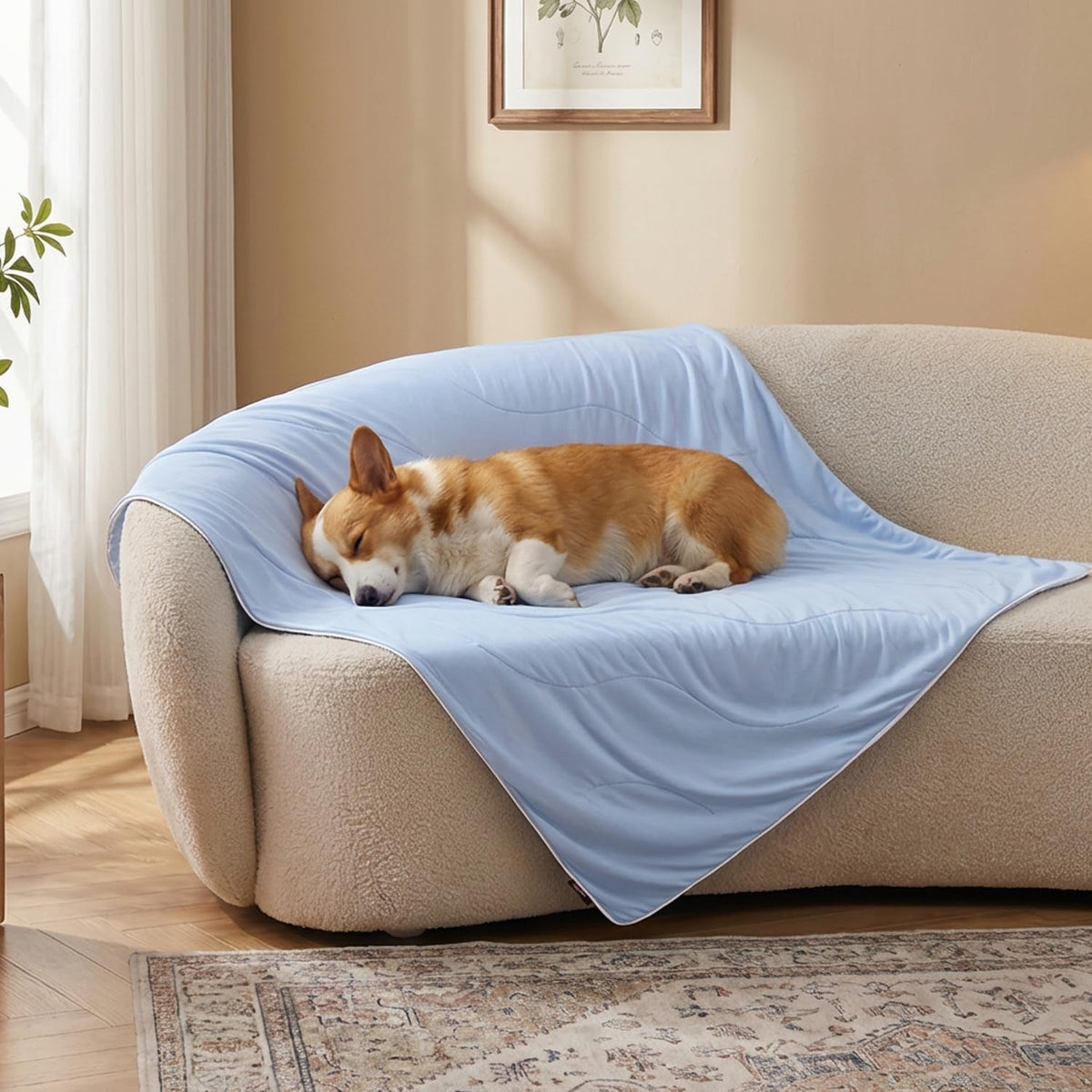Adjustable Dog Mat Blanket