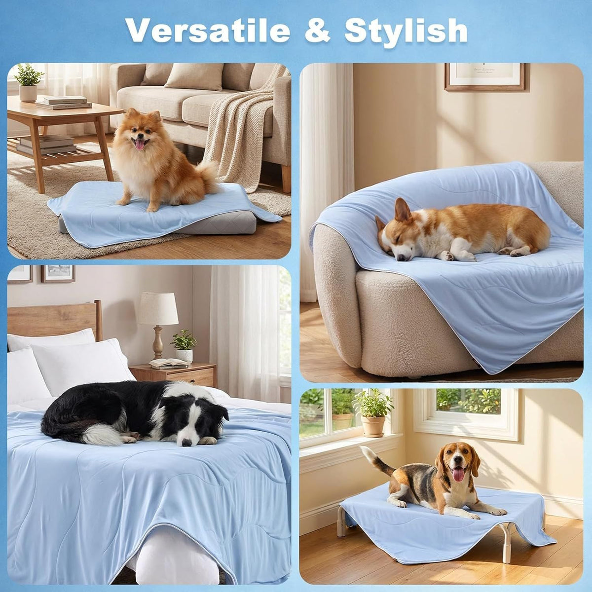 Adjustable Dog Mat Blanket