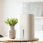 Basement Crawl Space Mini Dehumidifier for Bathroom with Portable Removable Tank for Small Rooms