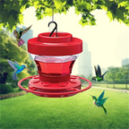 Bee-Proof Hummingbird Feeder with Perch - 473 ml Capacity