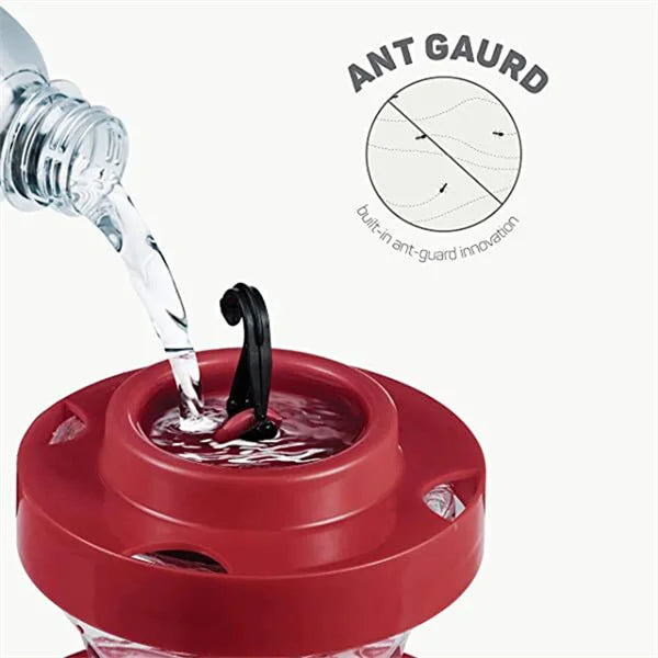 Bee-Proof Hummingbird Feeder with Perch - 473 ml Capacity