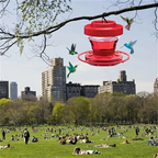 Bird Feeder with Hanging Ant-Proof Design