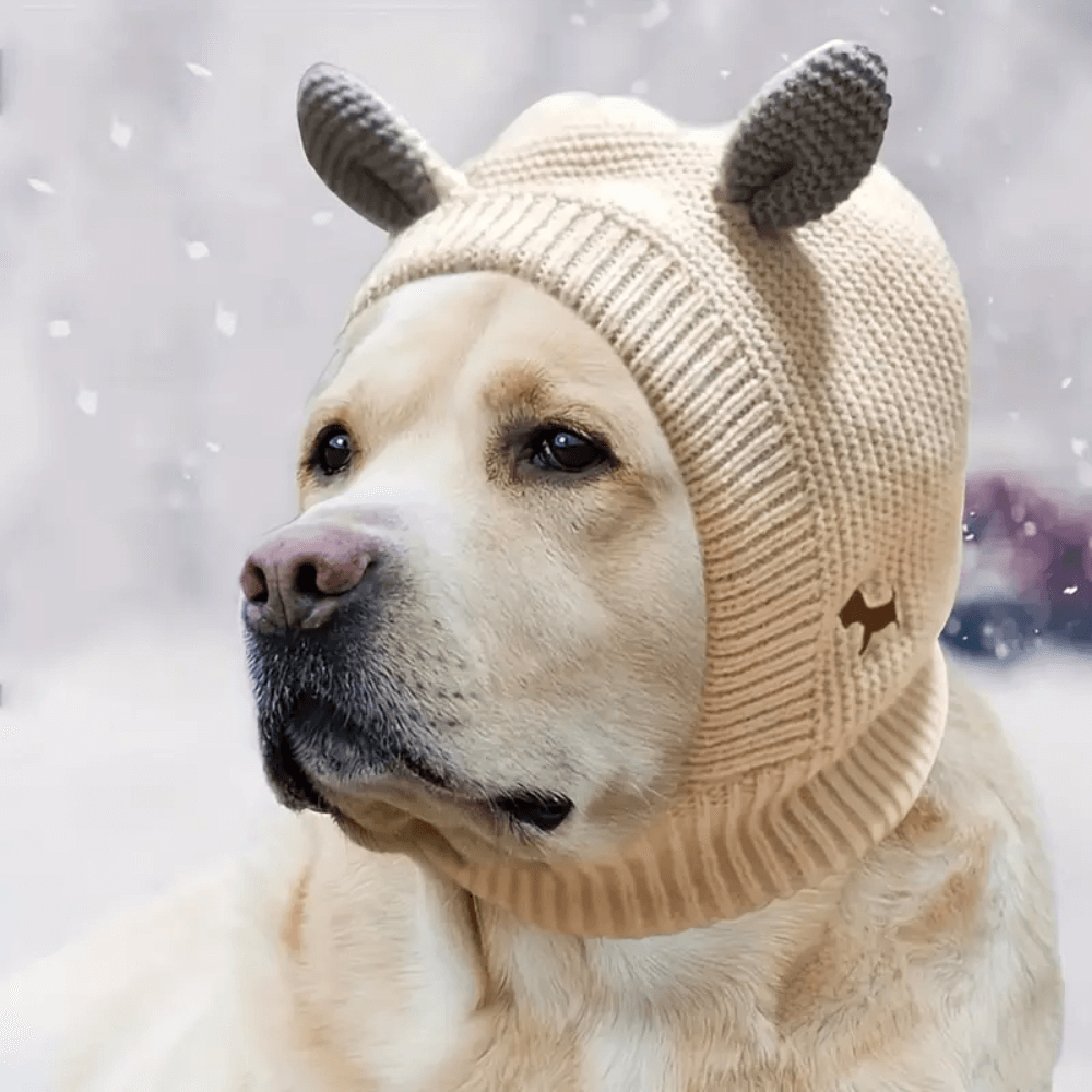Calm & Cosy Dog Earmuffs