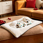 Cat Bed