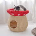Cat Bed with Integrated Sleeping Area