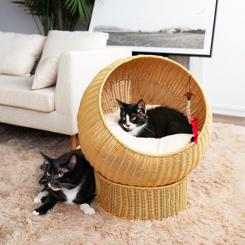 Cat Bed with Modern Design