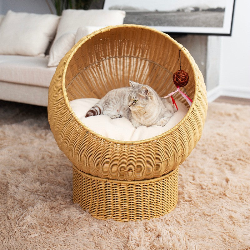 Cat Bed with Modern Design