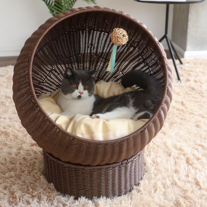 Cat Bed with Modern Design