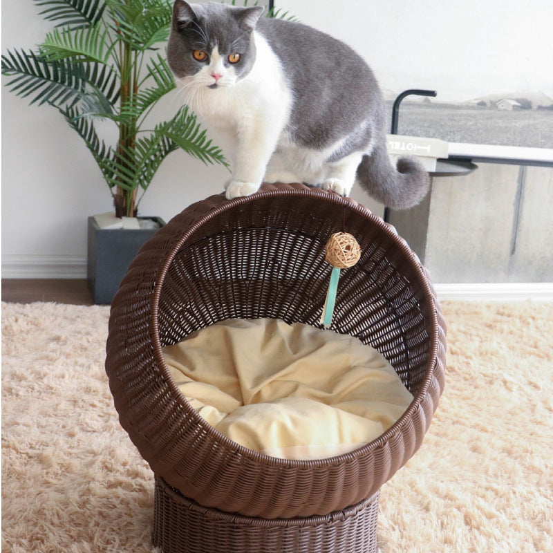 Cat Bed with Modern Design