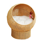 Cat Bed with Modern Design