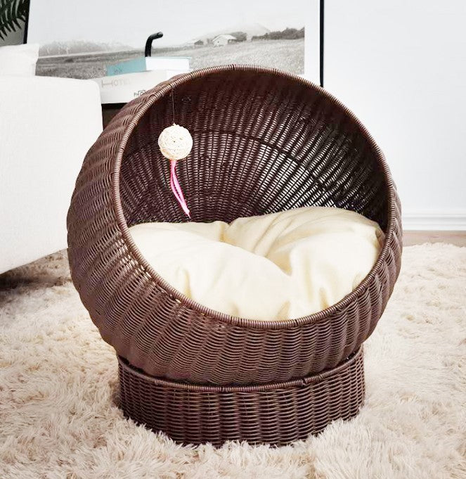 Cat Bed with Modern Design