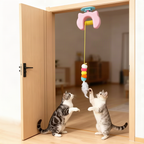 Cat Toy with Catnip and Crinkly Paper