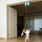 Cat Toy with Catnip and Crinkly Paper