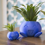 Ceramic Plant Pot with Face for Small Plants
