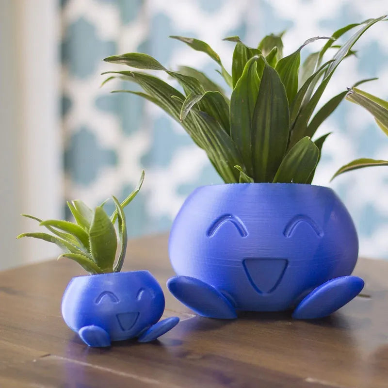 Ceramic Plant Pot with Face for Small Plants