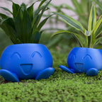 Ceramic Plant Pot with Face for Small Plants