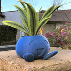 Ceramic Plant Pot with Face for Small Plants