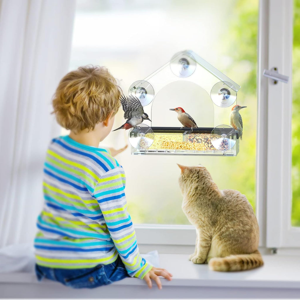 Clear Acrylic Window Bird Feeder with Suction Mount