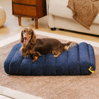 Comfortable Dog Bed – CheesecakeComfort Bed