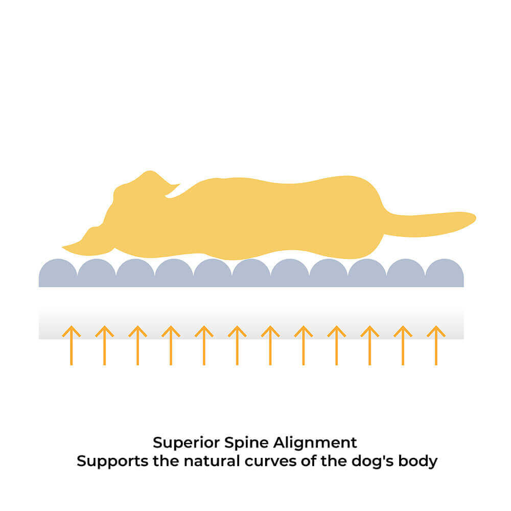 Comfortable Dog Bed – CheesecakeComfort Bed