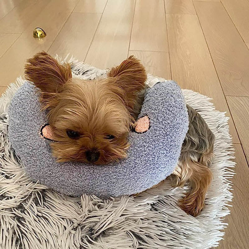 CozyPaws Dog Cushion – RelaxPad
