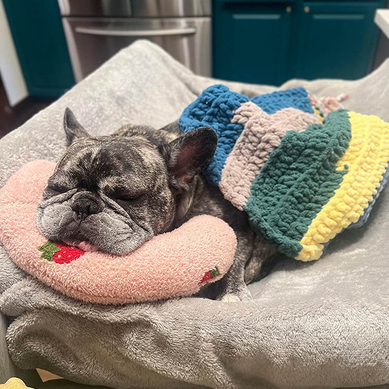 CozyPaws Dog Cushion – RelaxPad