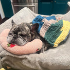 CozyPaws Dog Cushion – RelaxPad