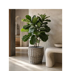 Decorative Laundry Basket