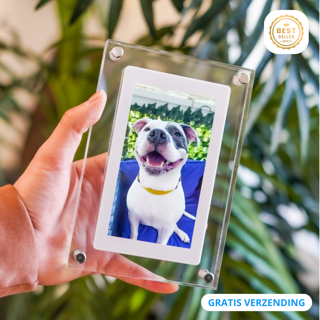 Digital Photo Frame – GlowFrame