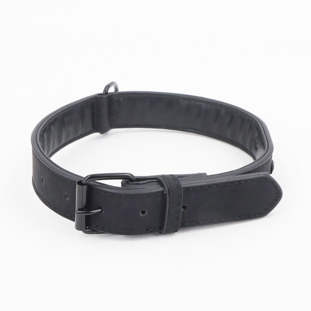 Dog Collar
