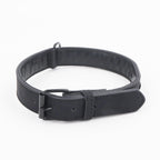 Dog Collar