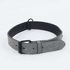 Dog Collar