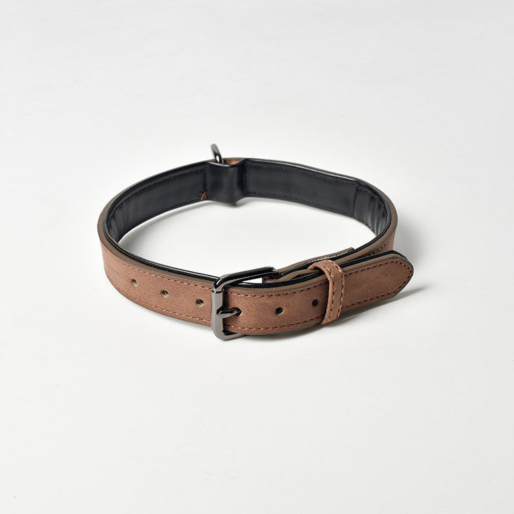 Dog Collar
