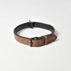 Dog Collar