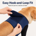 Boneroshop PawGuard Dual Front Leg Recovery Sleeves for Dogs - Cone-Free Anti-Lick Protection for Post-Surgery, Scratchi
