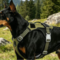 Dog Harness
