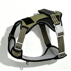 Dog Harness