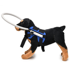 Dog harness with blind guide bumper ring