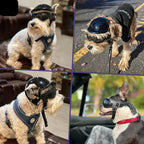 Dog Helmet with Goggles for Eye Protection