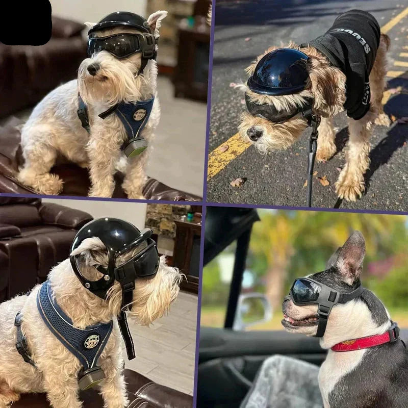 Dog Helmet with Goggles for Eye Protection