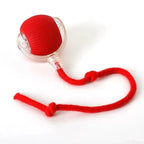 Dog Motion-Activated Rolling Ball Toy, Independent Play and Daily Exercise