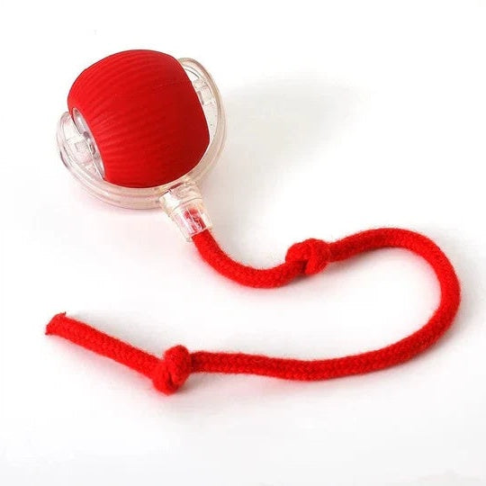 Dog Motion-Activated Rolling Ball Toy, Independent Play and Daily Exercise